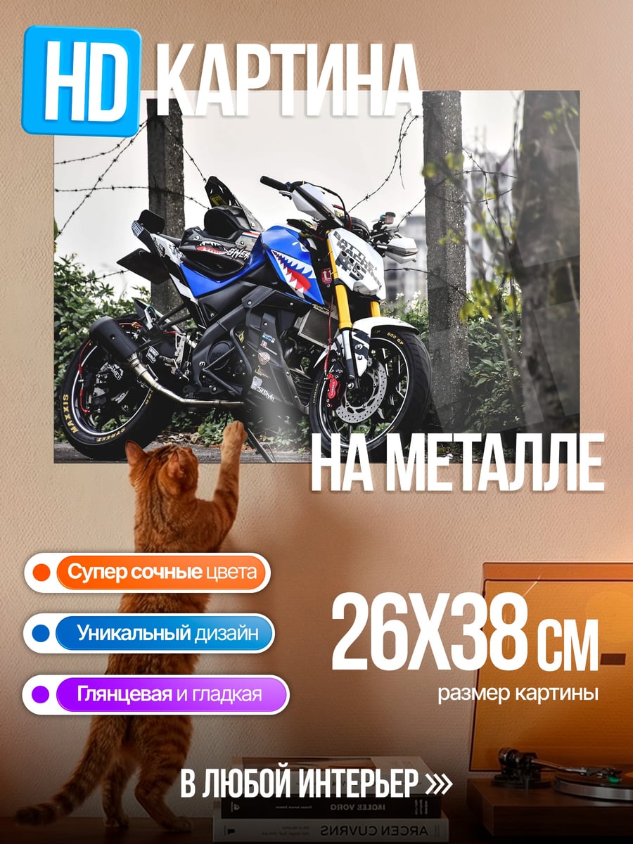 Картина на металле Спортивный мотоцикл акула