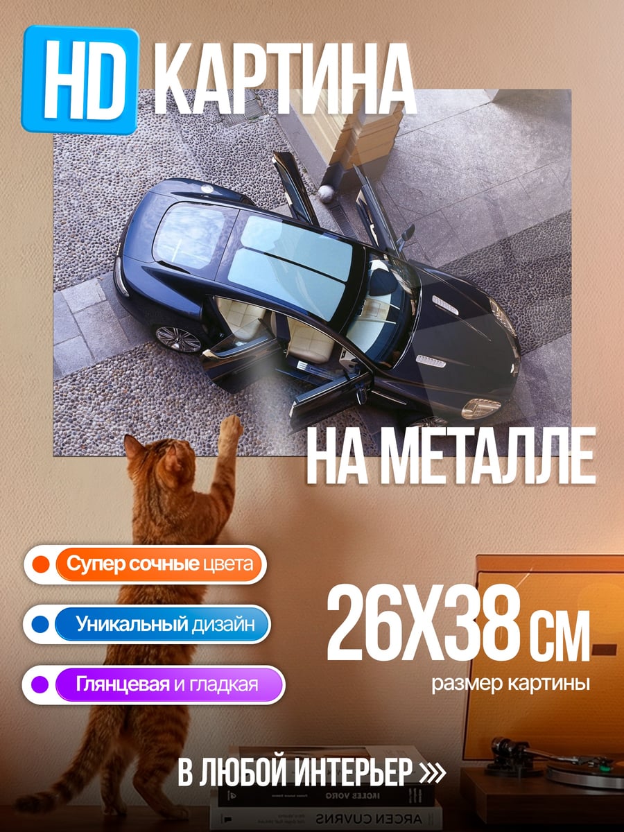 Картина на металле Черный спорткар двери
