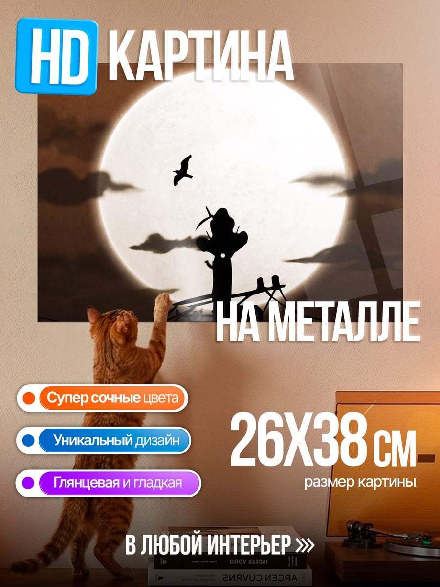 Картина на металле Силуэт ниндзя