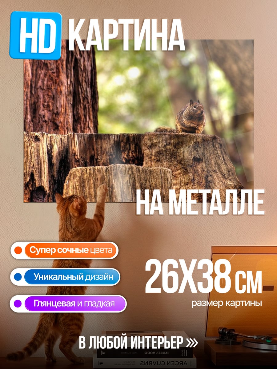 Картина на металле Белка на пне