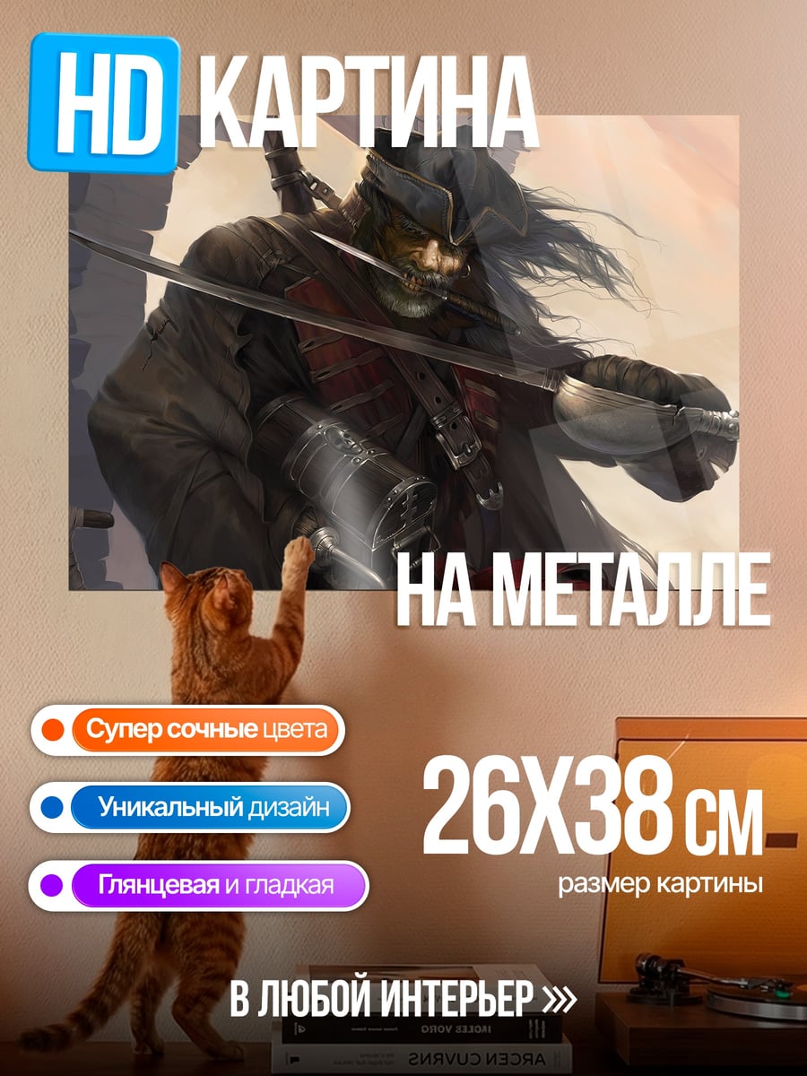 Картина на металле Пират с саблей