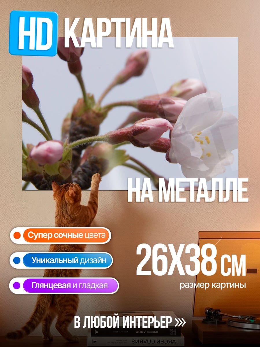 Картина на металле Цветущая сакура