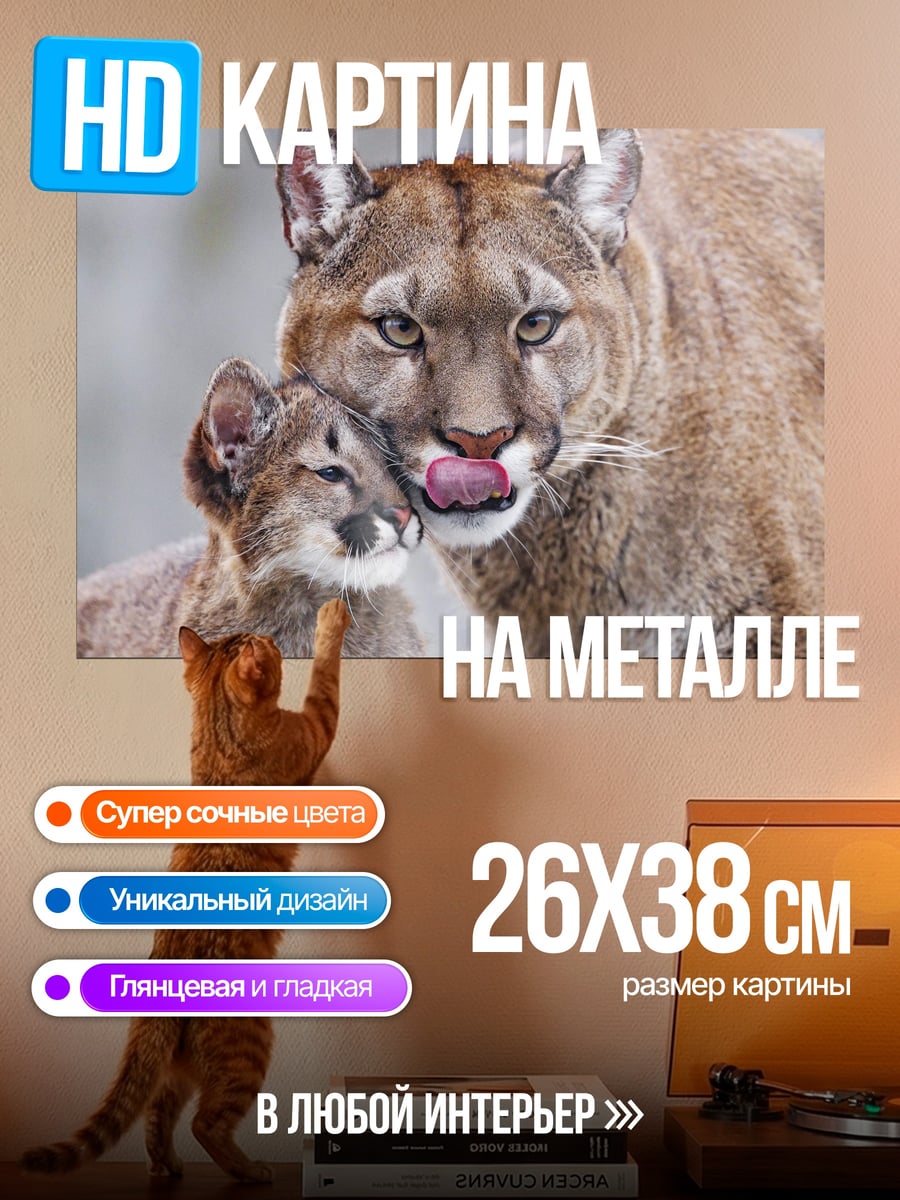 Картина на металле Мама пума с котенком