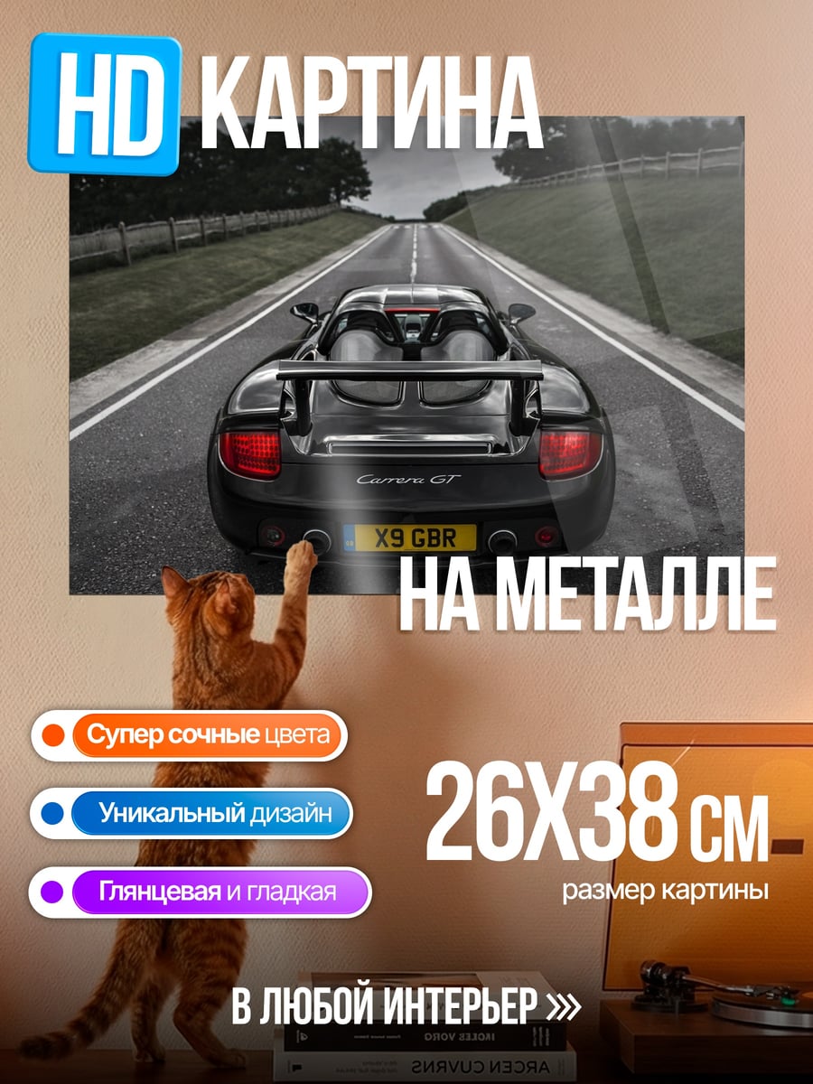 Картина на металле Черный спорткар на дороге