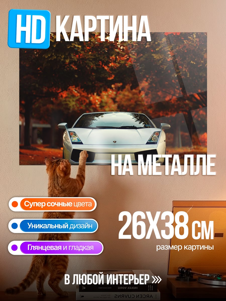 Картина на металле Белый спорткар осенью