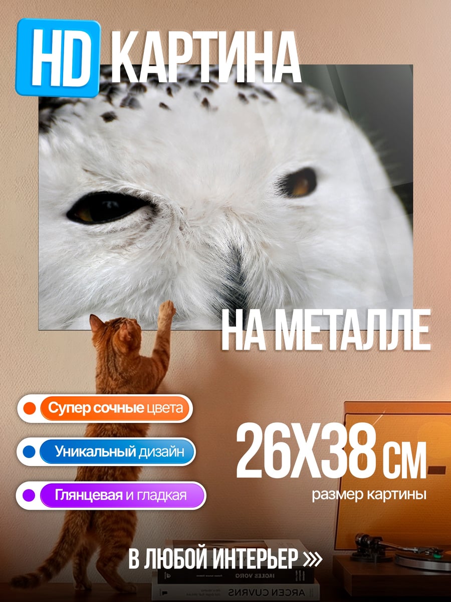 Картина на металле снежная сова