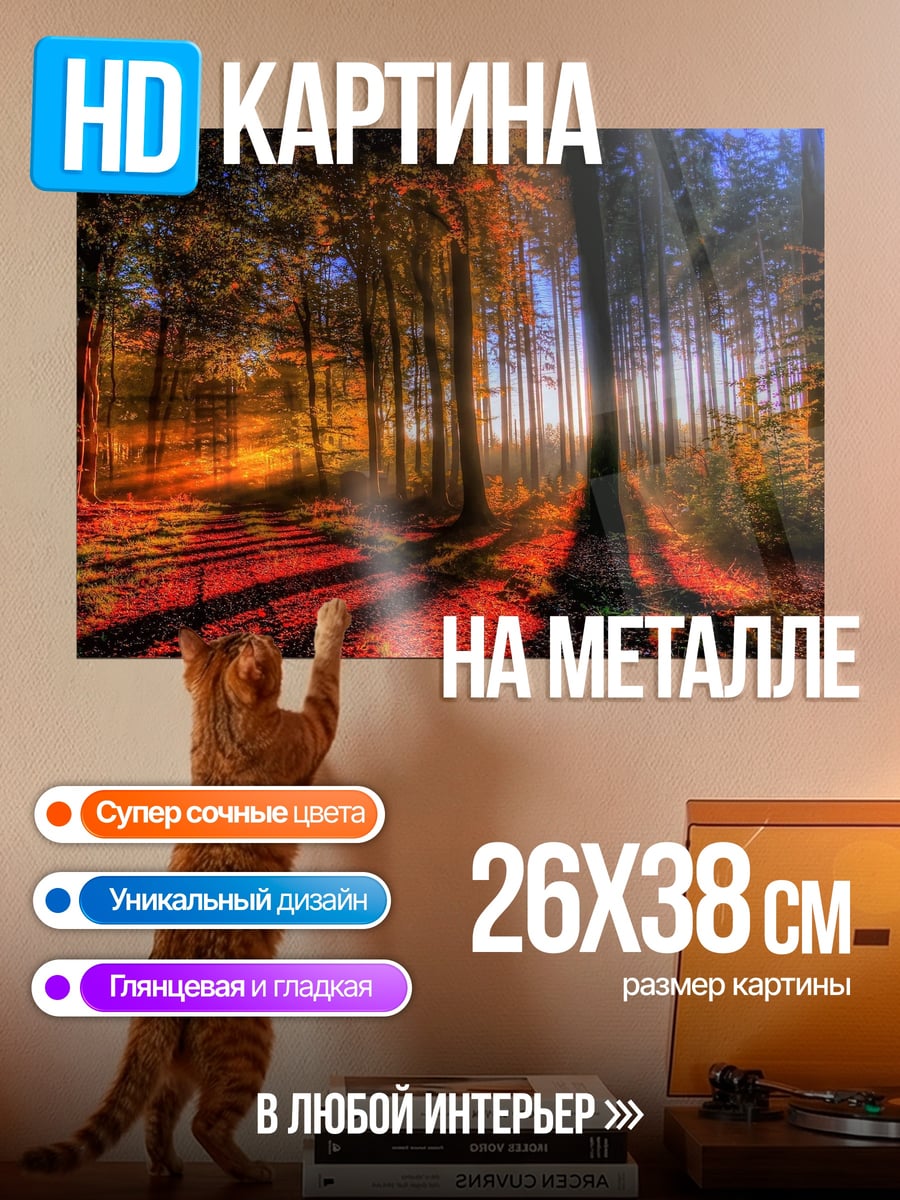 Картина на металле Лесной закат
