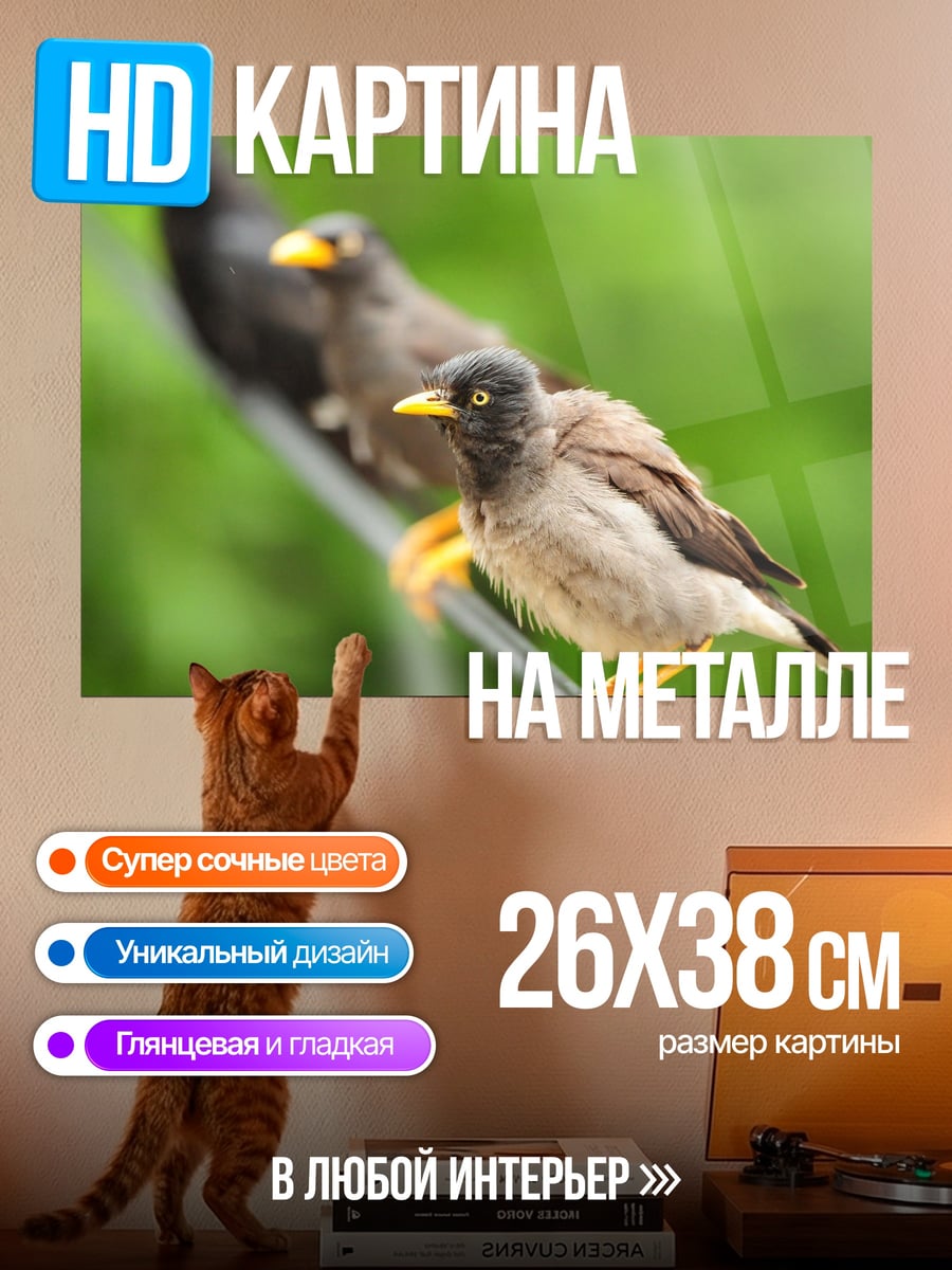 Картина на металле Птицы на проводе