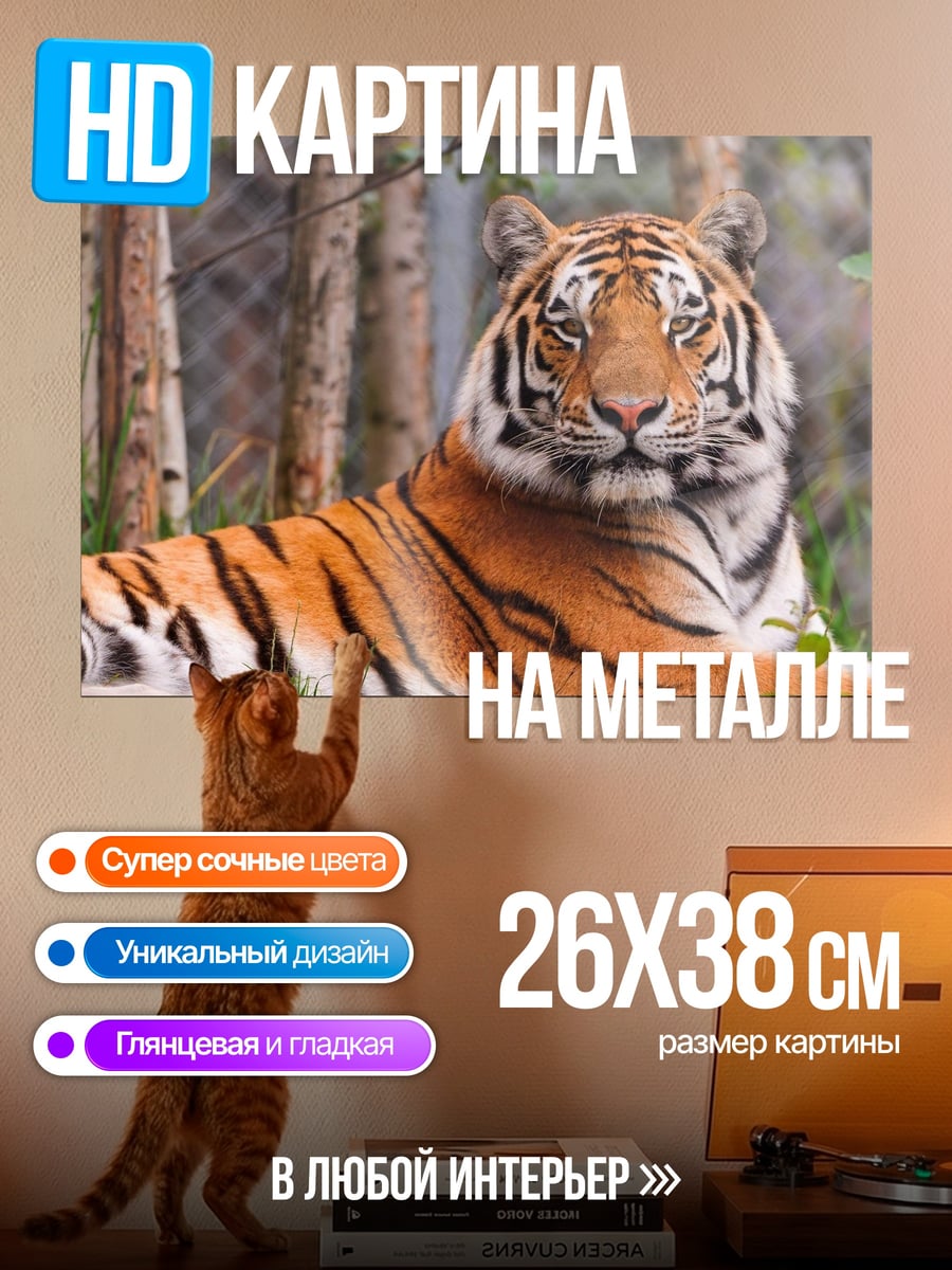 Картина на металле Лежащий тигр