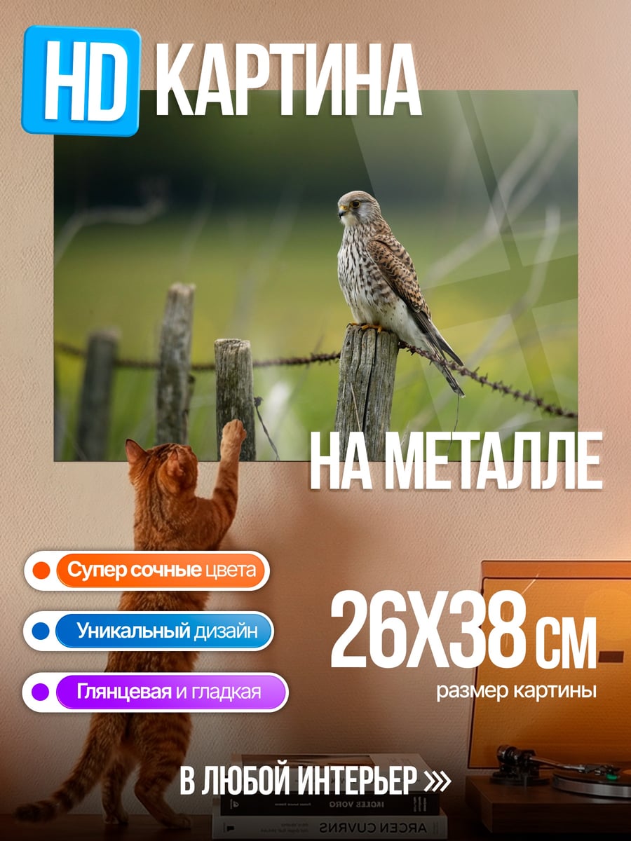 Картина на металле Пустельга на заборе