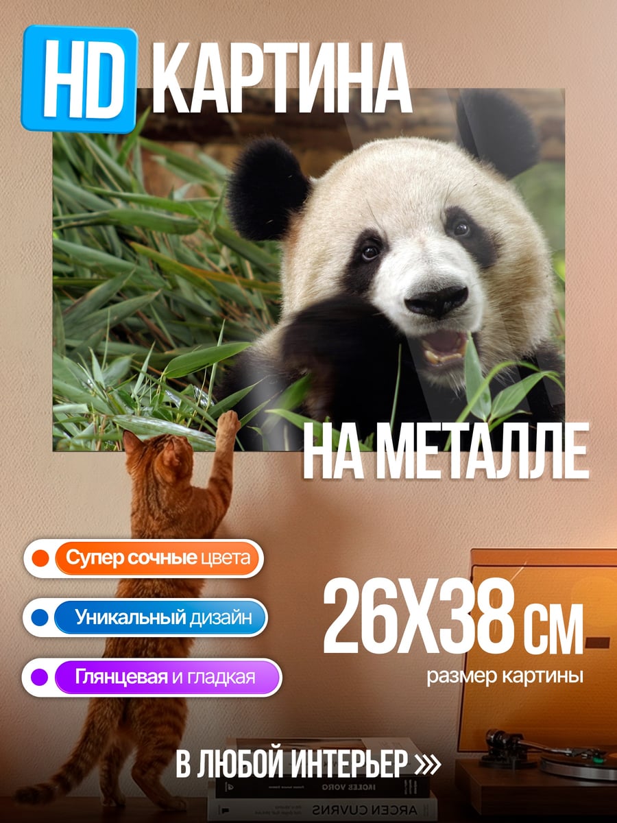 Картина на металле Панда ест бамбук