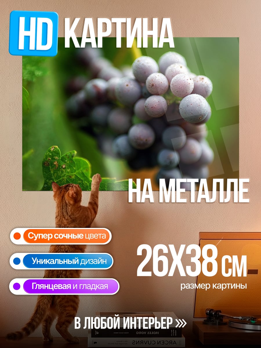 Картина на металле Виноградная лоза осенью