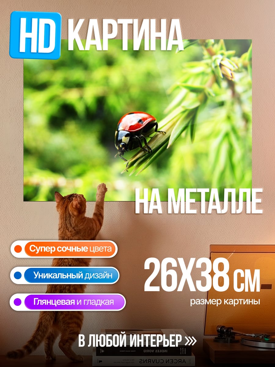 Картина на металле Красный суперкар