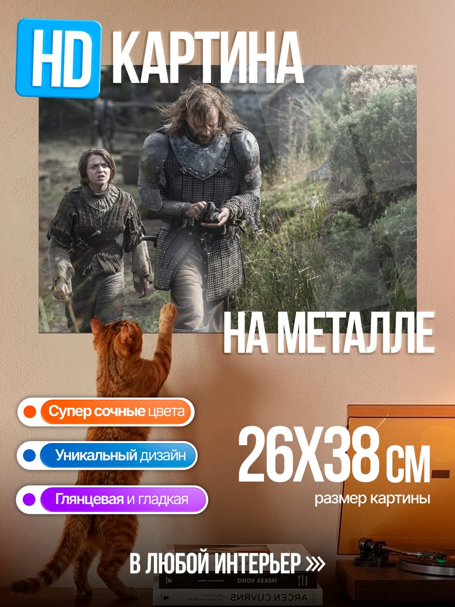 Картина на металле Сандор Клиган и Арья