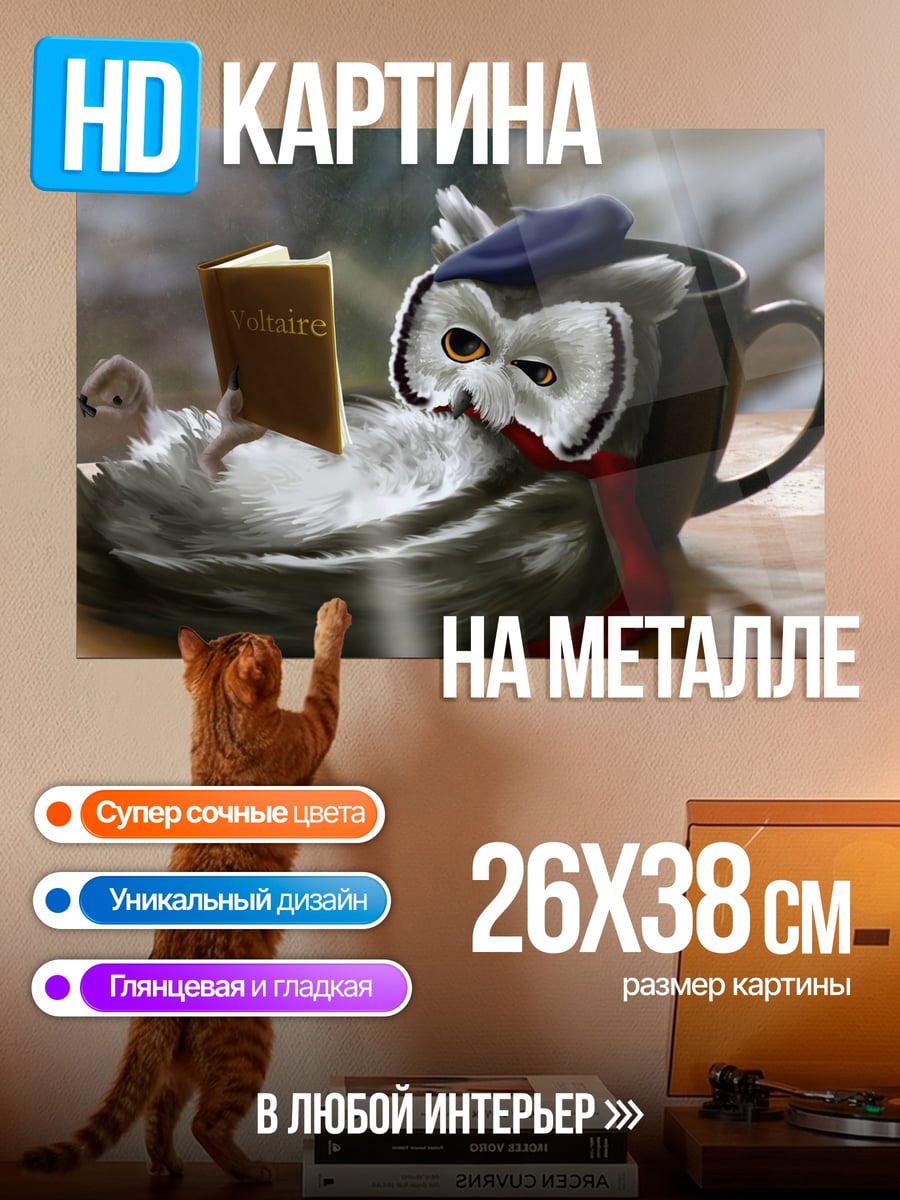 Картина на металле Сова Читает Книгу