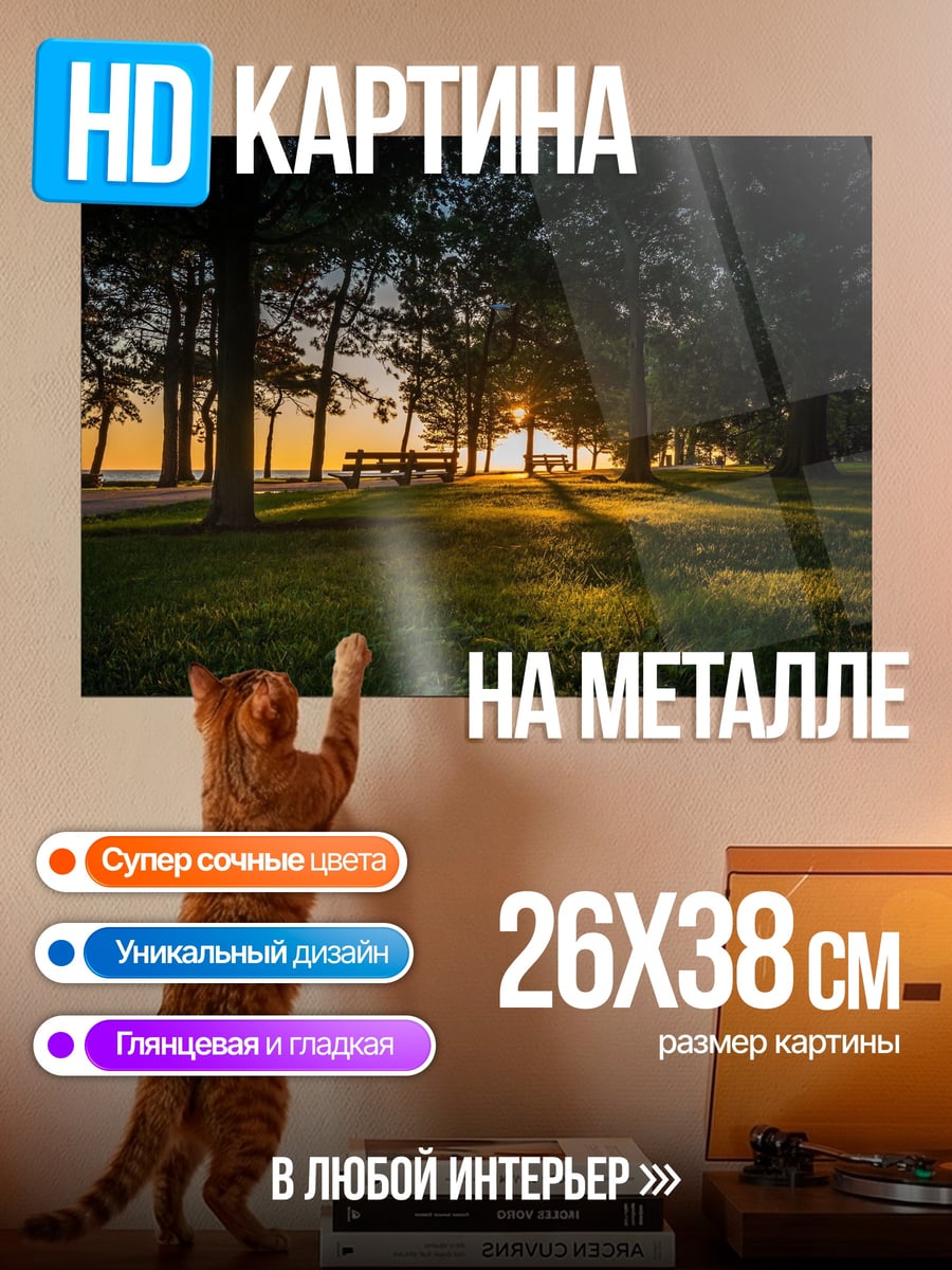Картина на металле Закат в парке