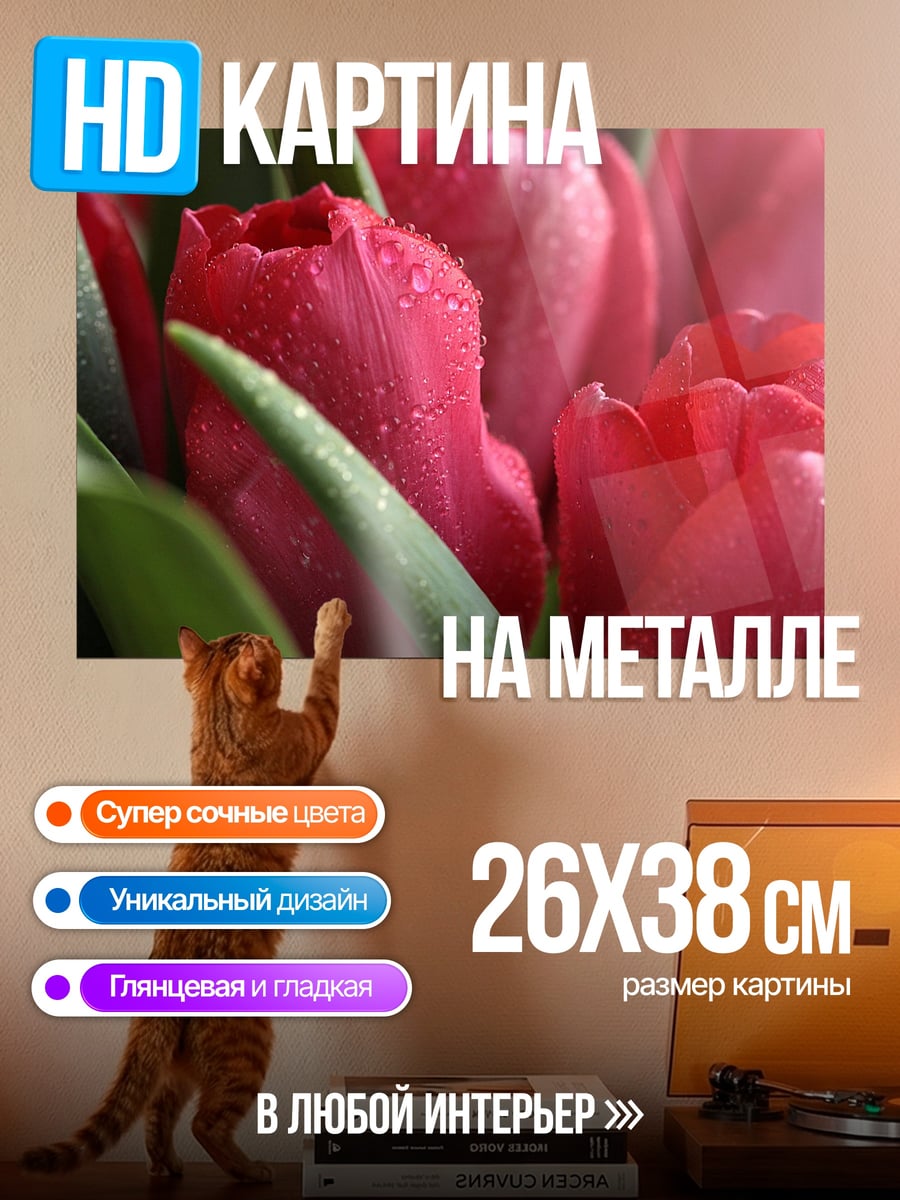 Картина на металле Красные тюльпаны