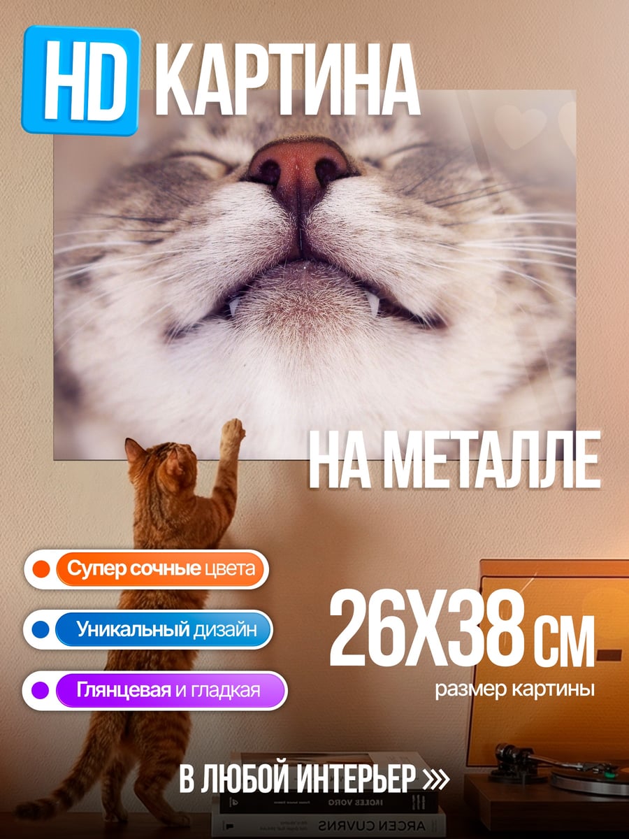 Картина на металле Спящий кот
