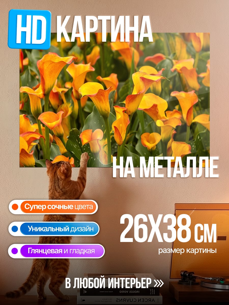Картина на металле Оранжевые каллы