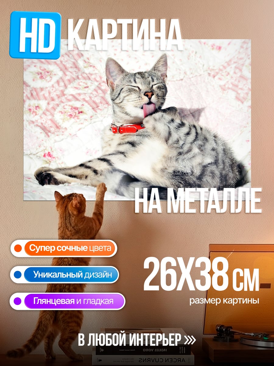 Картина на металле Две кошки