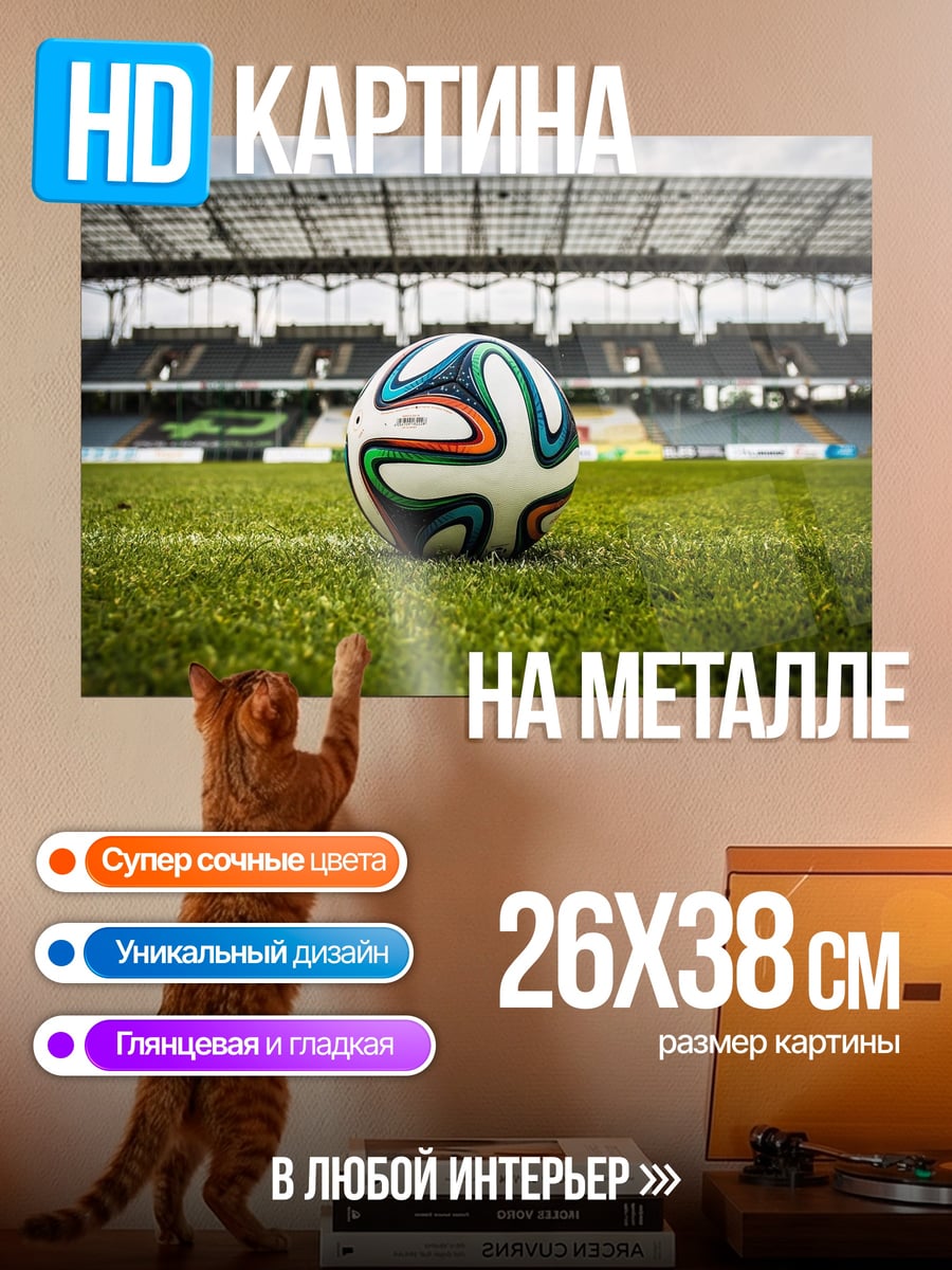 Картина на металле Футбольный мяч на поле
