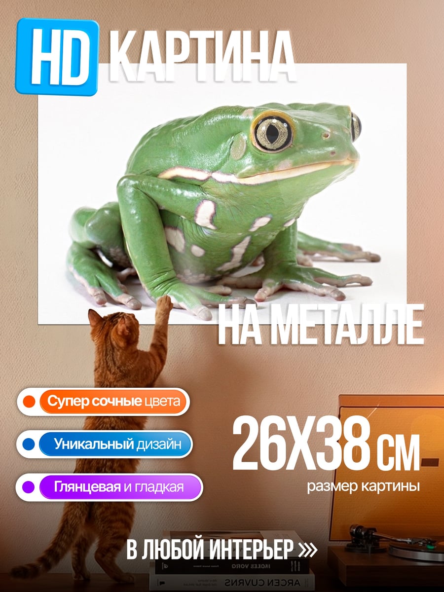 Картина на металле Зеленая древесная лягушка