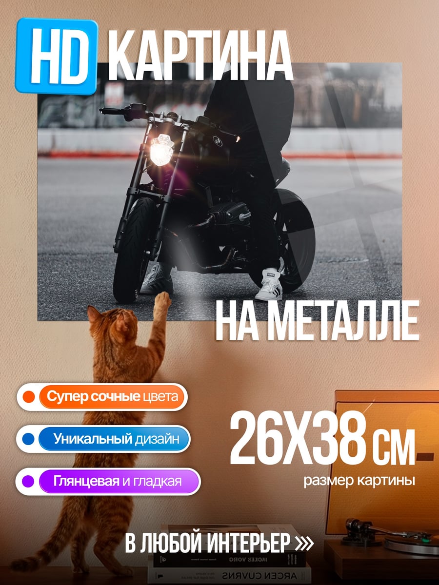 Картина на металле мотоциклист в шлеме