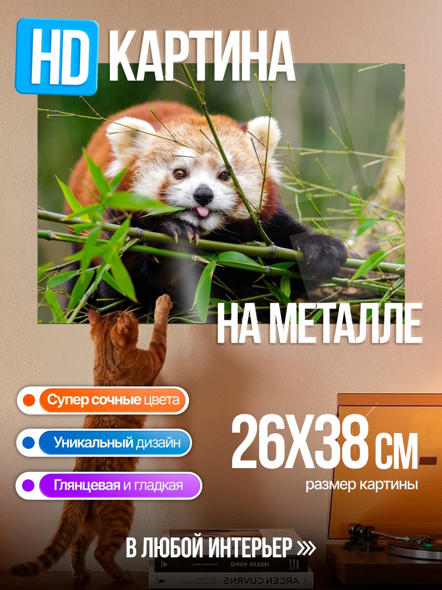 Картина на металле красная панда