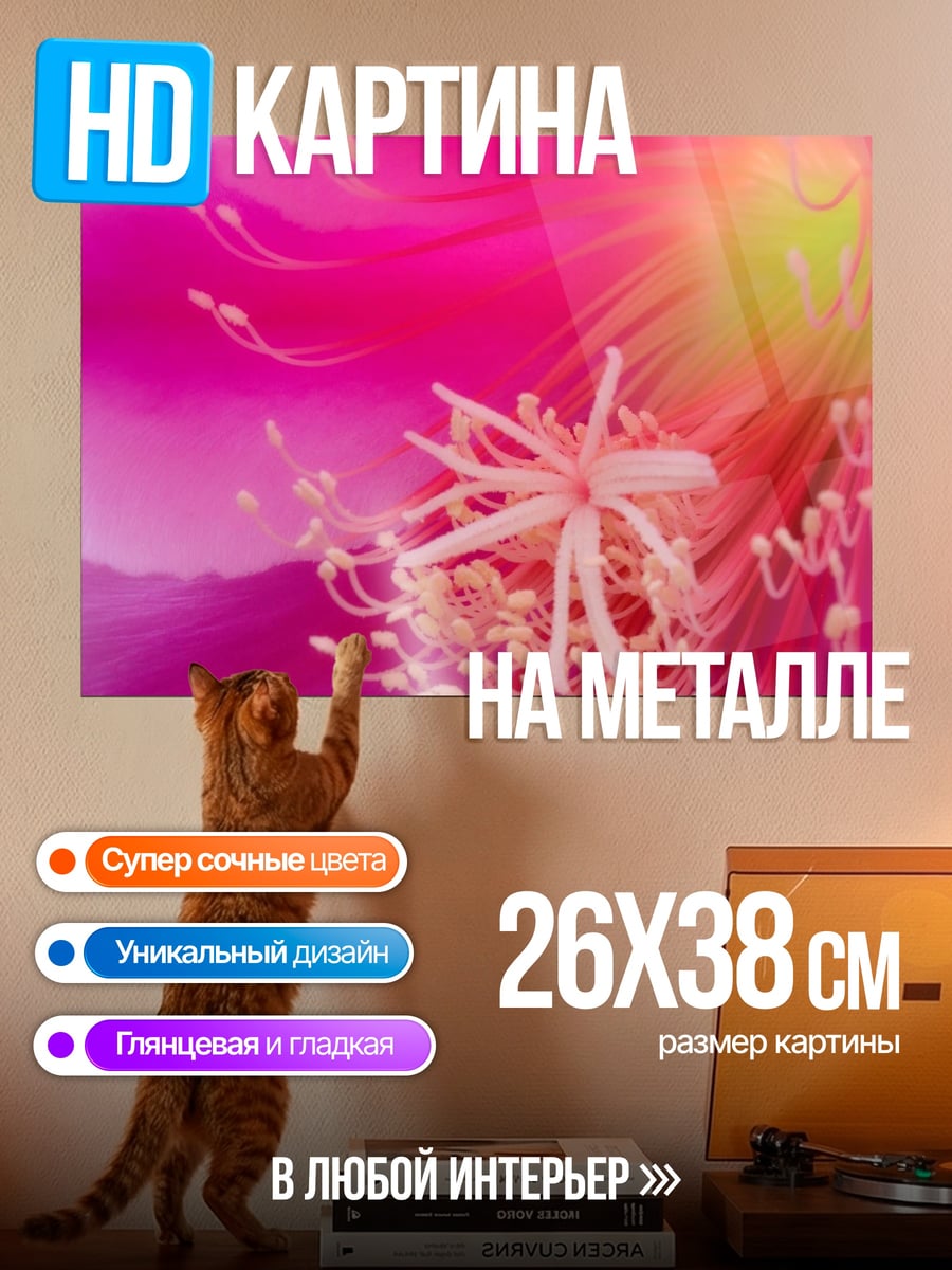 Картина на металле Яркий цветок кактуса