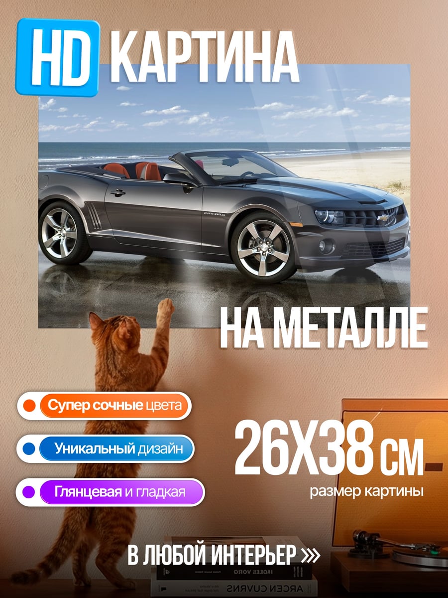Картина на металле Темный кабриолет на берегу
