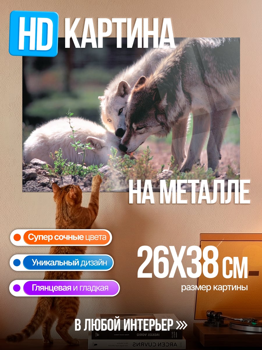 Картина на металле Два волка у ручья
