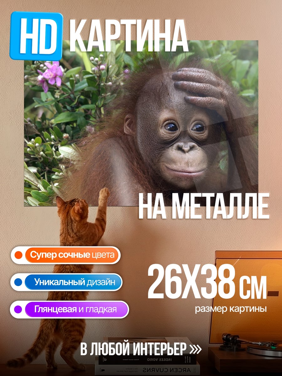 Картина на металле Орангутан в джунглях