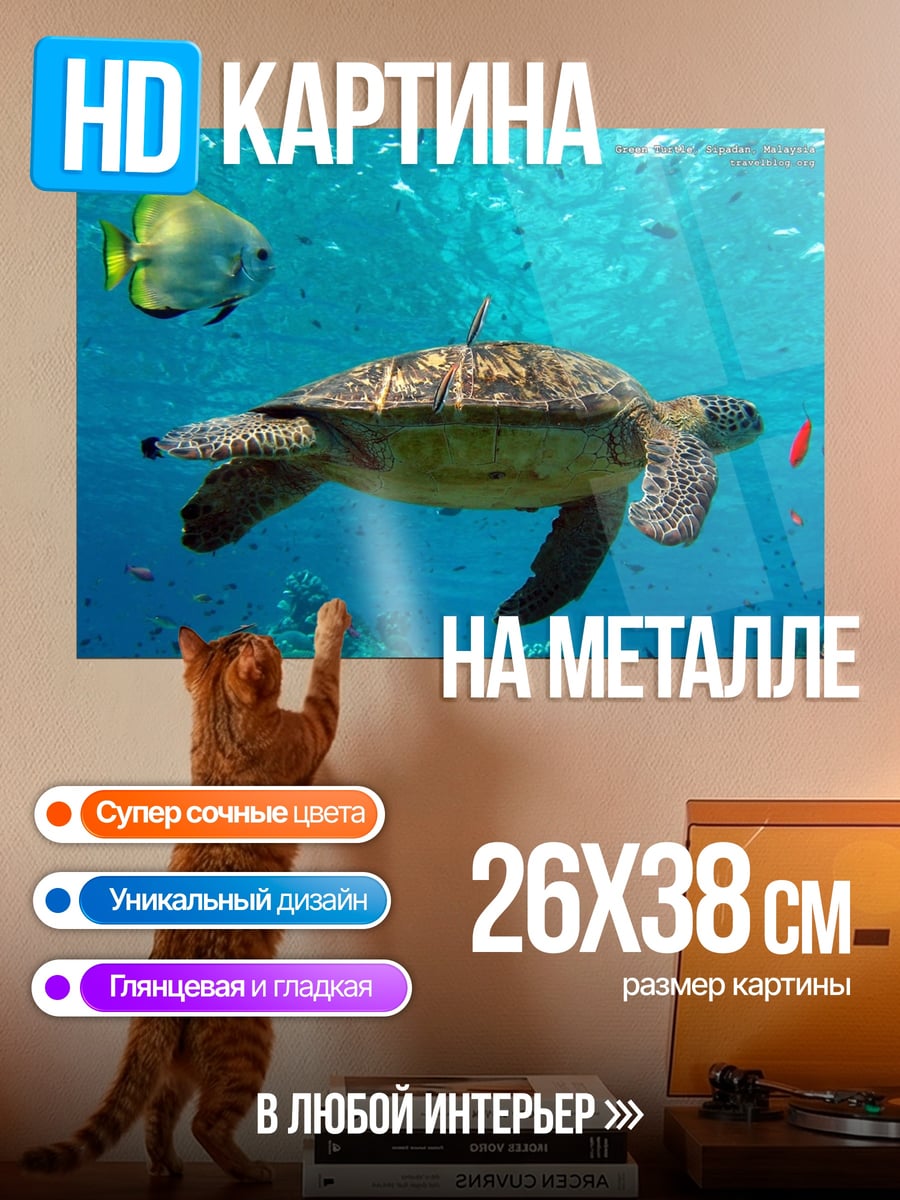 Картина на металле Морская черепаха