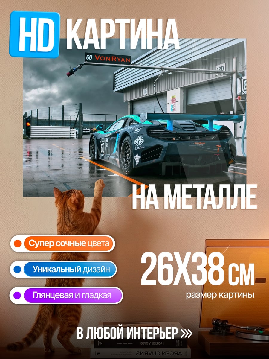 Картина на металле Гоночный автомобиль трасса