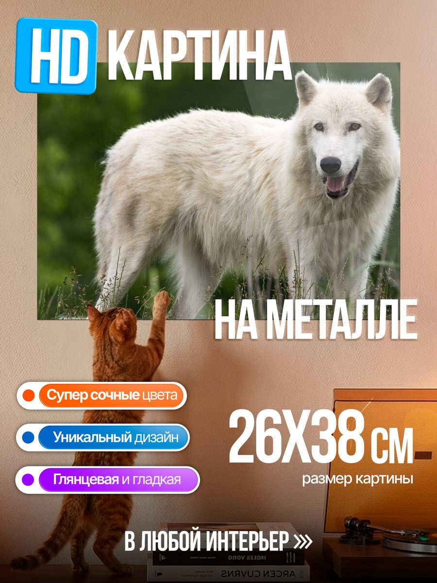 Картина на металле белый волк в траве