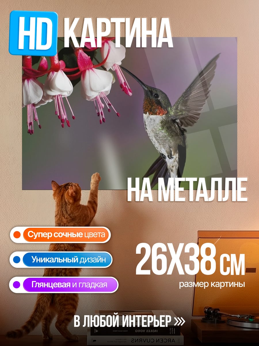 Картина на металле Колибри и фуксия