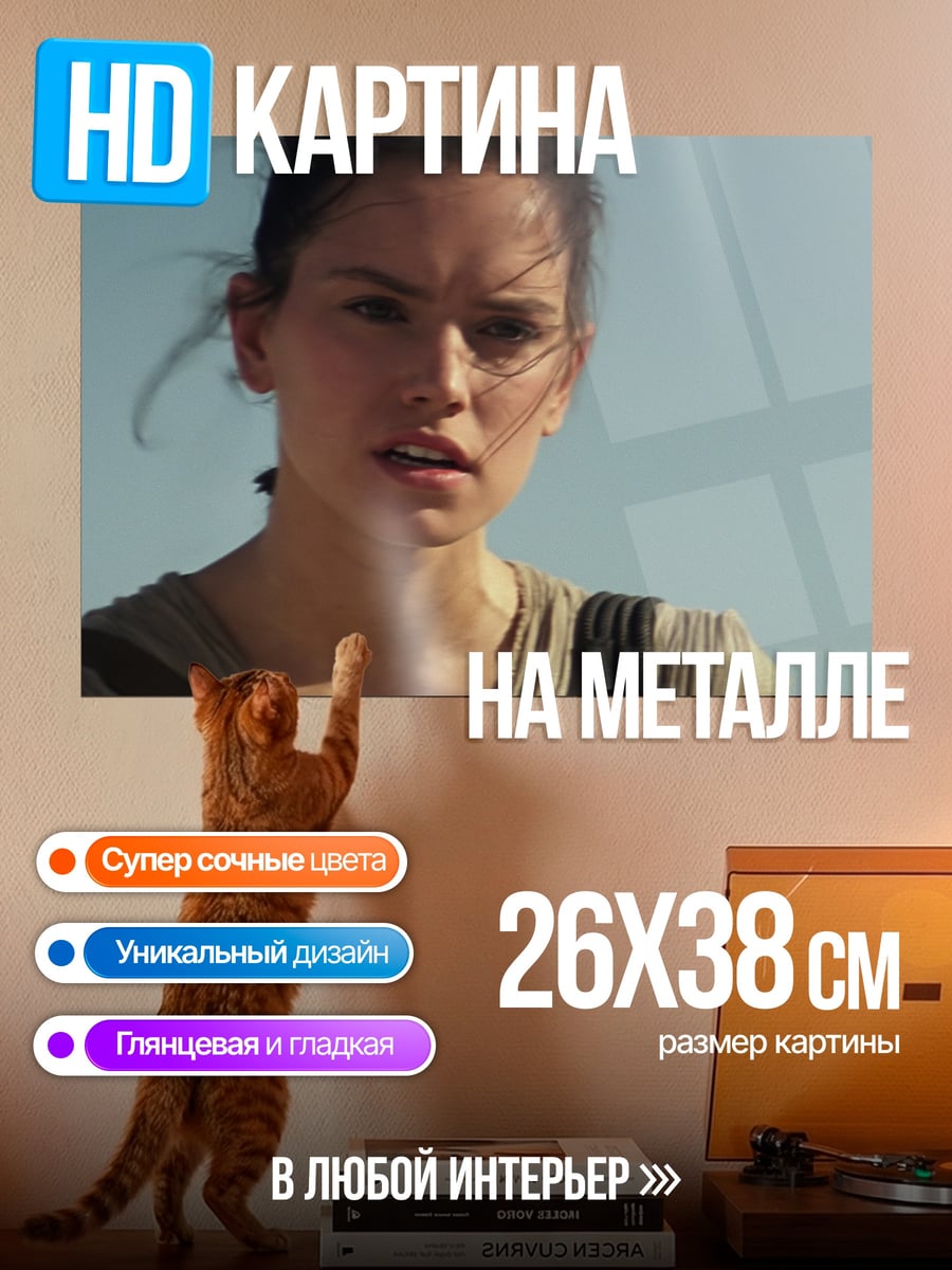 Картина на металле Рей Звездные Войны