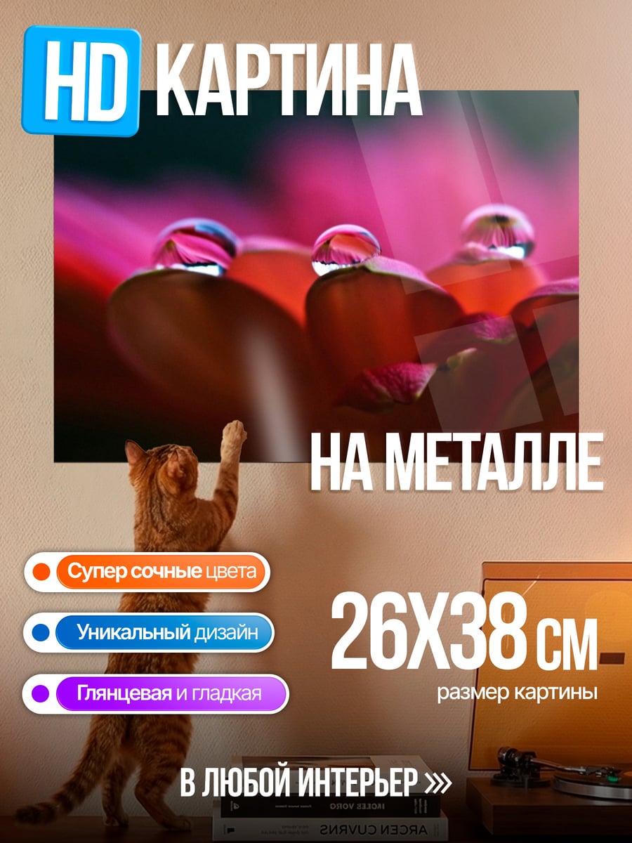 Картина на металле Капли на лепестках