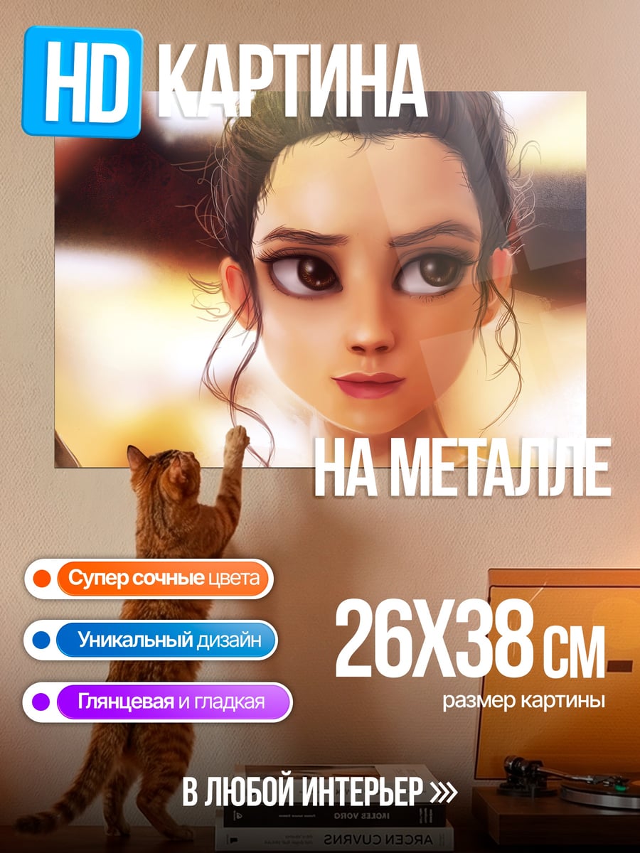 Картина на металле Рей Звёздные войны