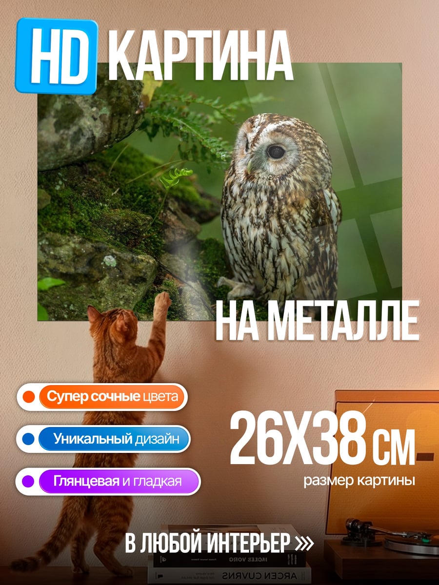 Картина на металле Сова на камне