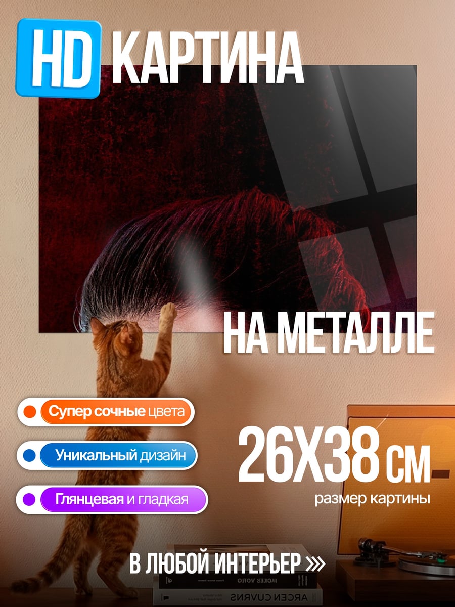Картина на металле Рей Звездные Войны
