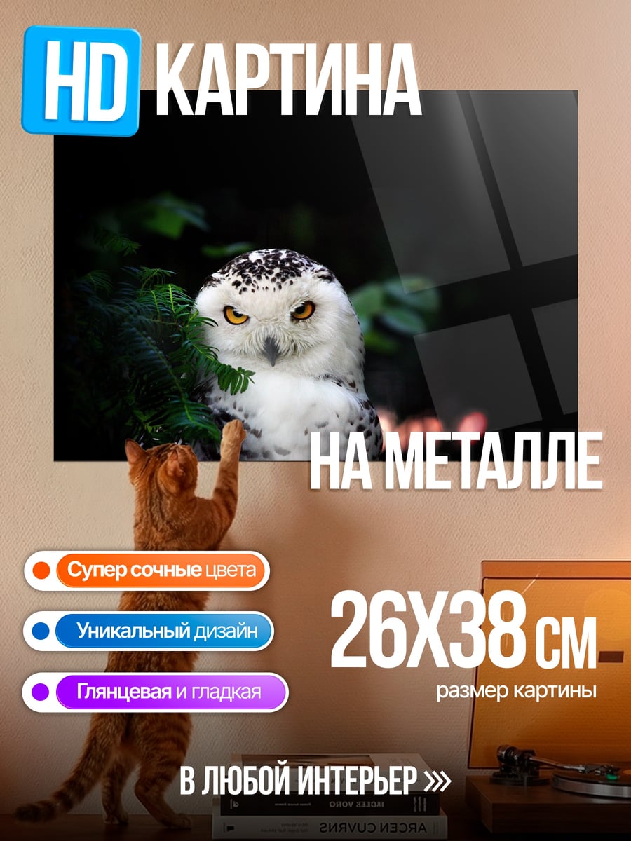 Картина на металле Снежная сова смотрит