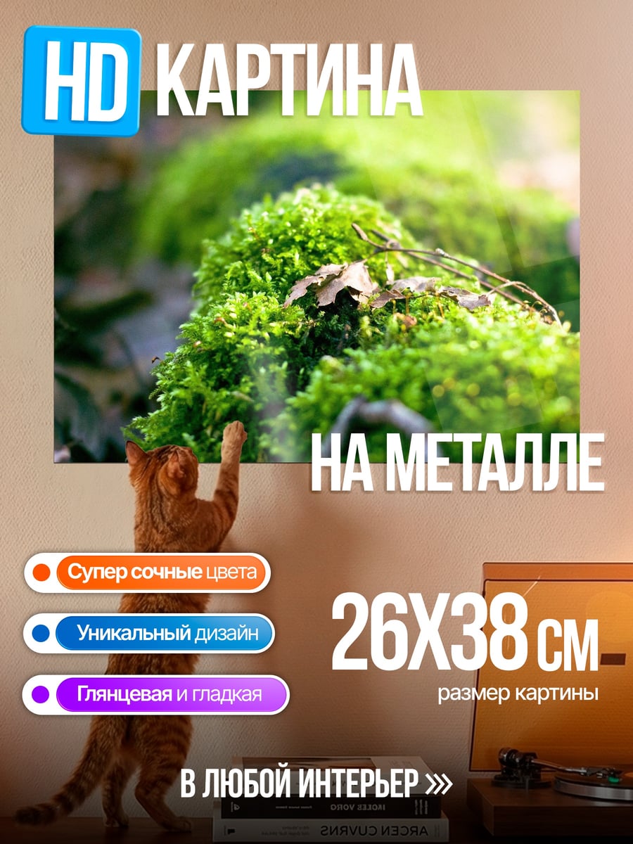 Картина на металле Зеленый мох