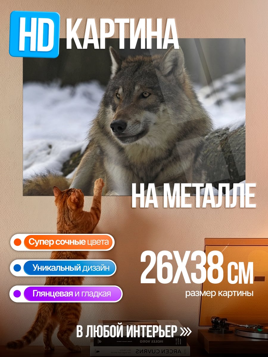 Картина на металле Волк в снегу
