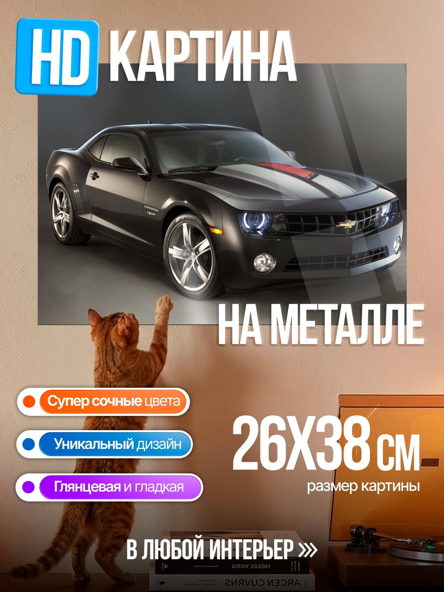 Картина на металле Черный спорткар