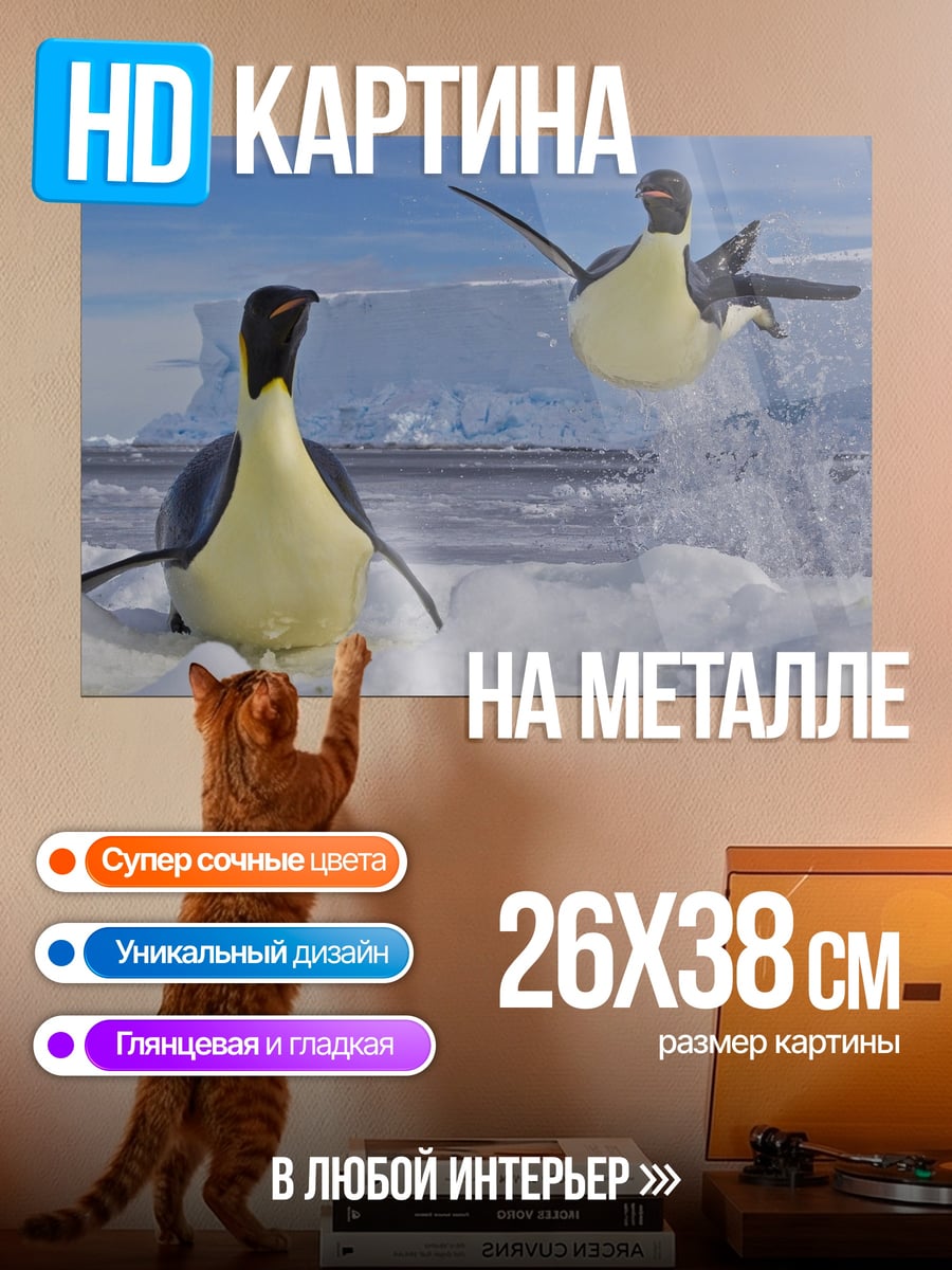 Картина на металле Пингвины в снегу
