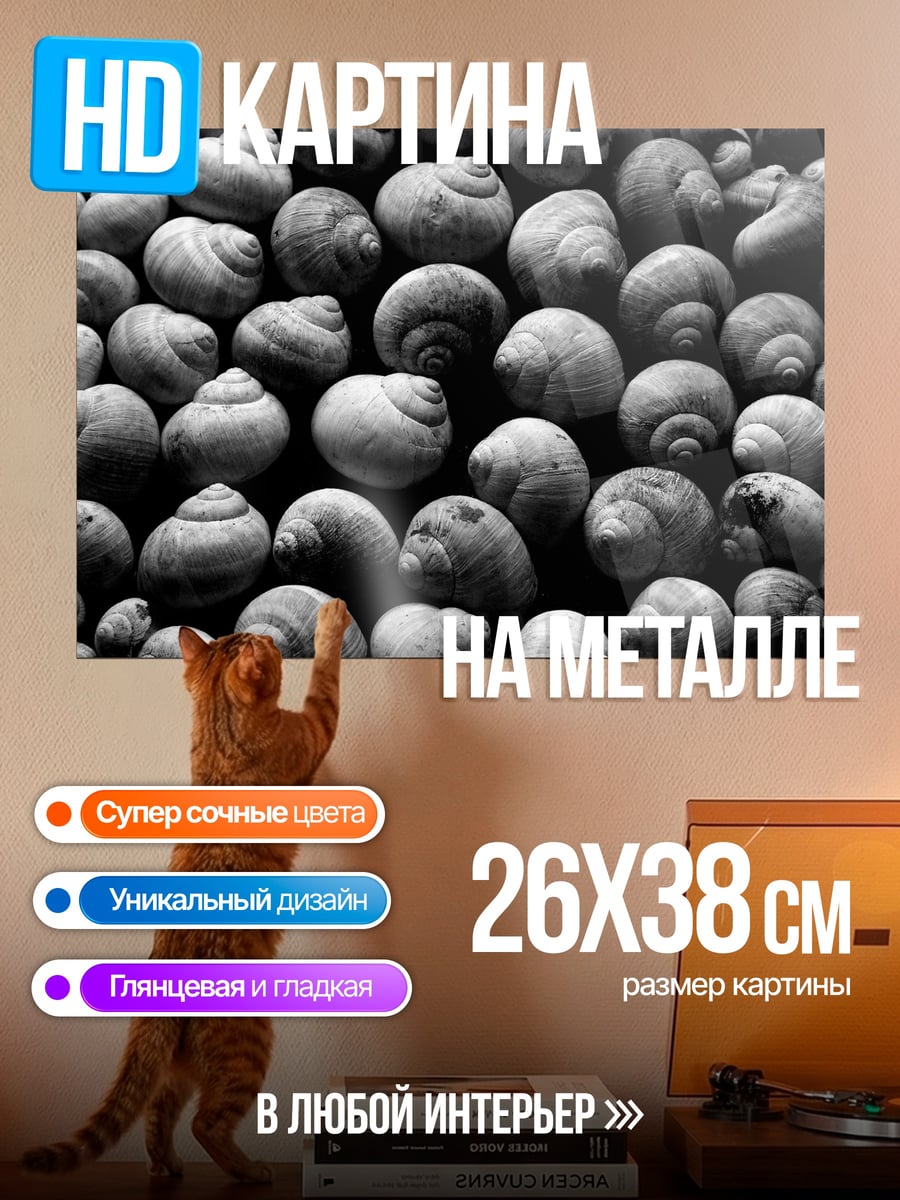 Картина на металле Множество ракушек