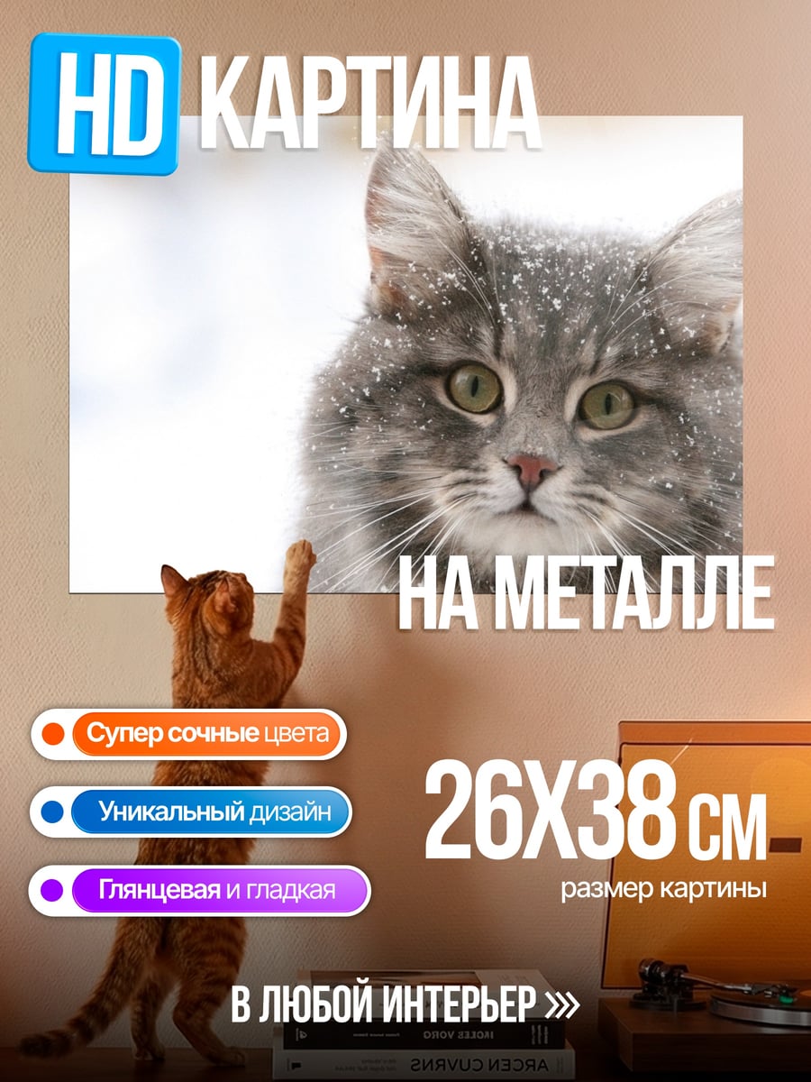 Картина на металле Снежный кот