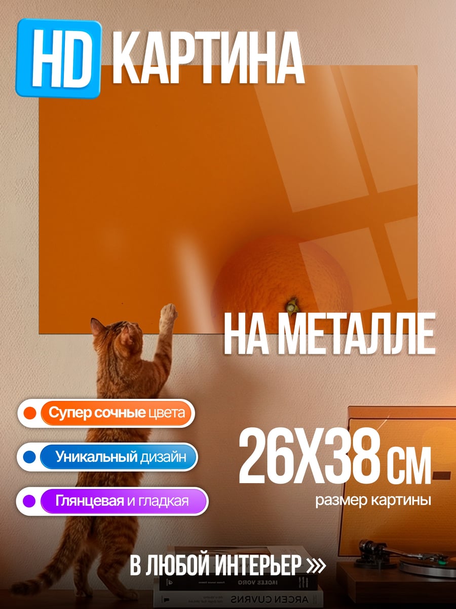 Картина на металле Оранжевый апельсин