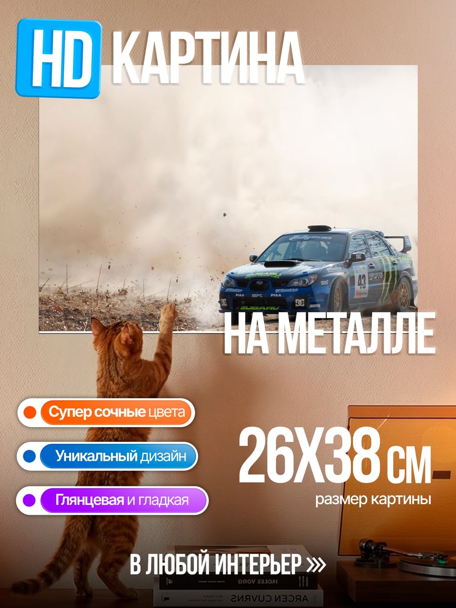 Картина на металле Ралли Subaru